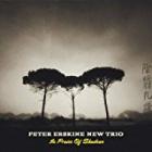 In_Praise_Of_Shadows_-Peter_Erskine