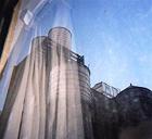 Common_As_Light_And_Love_Are_Red_Valleys_Of_Blood_-Sun_Kil_Moon