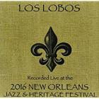 Live_At_Jazzfest_2016-Los_Lobos