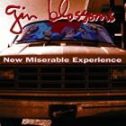 New_Miserable_Experience_-Gin_Blossoms