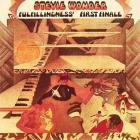 Fulfillingness_First_Finale_-Stevie_Wonder