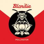 Pollinator-Blondie
