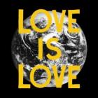 Love Is Love  di Woods - CD