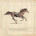 A_Long_Way_From_Your_Heart_-Turnpike_Troubadours