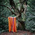The_Animal_Spirits_-James_Holden_%26_The_Animal_Spirits