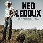 Sagebrush_-Ned_Ledoux_