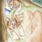 Wolf_Of_The_Cosmos_-Bonnie_%22prince%22_Billy