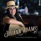 Dive_Bars_&_Old_Guitars-Briana_Adams_