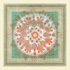 Life Is Good On The Open Road di Trampled By Turtles - CD
