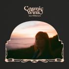 Cosmic Wink di Chris Williamson - CD