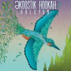 Halcyon-Ekoostik_Hookah