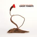 Ghost_Forests-Meg_Baird_