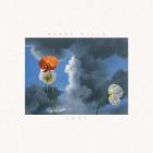 Look di Blake Mills - CD