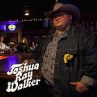 Wish_You_Were_Here_-Joshua_Ray_Walker_