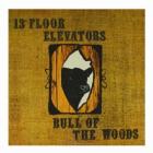 Bull_Of_The_Woods_-13th_Floor_Elevators
