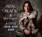 A_Little_Boom_Boom_Boom_-Neal_Black__&_The_Healers