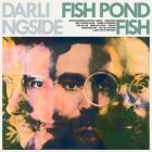 Fish_Pond_Fish_-Darlingside