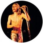 More_Power_-Iggy_Pop_&_The_Stooges