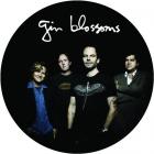 Live In Concert - Picture Disc Vinyl di Gin Blossoms - CD