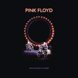 Delicate Sound Of Thunder   di Pink Floyd - CD