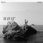What Is There  di Delta Spirit - CD