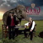 Ritorno Al Fuoco  di Gang - CD