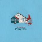 Amperland , NY di Pinegrove - CD Amperland , NY di Pinegrove - CD