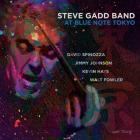 At_Blue_Note_Tokyo_-Steve_Gadd