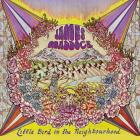 Little Bird In The Neighborhood  di James Maddock - CD