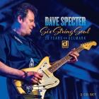 Six String Soul: 30 Years On Delmark di Dave Specter - CD
