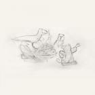 Dragon_New_Warm_Mountain_I_Believe_In_You-Big_Thief