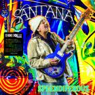 Splendiferous-Santana