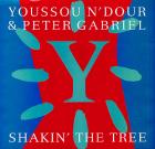 Shakin'_The_Tree-Youssou_N'Dour_&_Peter_Gabriel