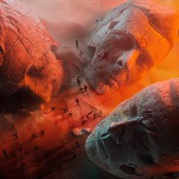 Will Of The People di Muse - CD Will Of The People di Muse - CD