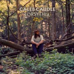 Forsythia-Caleb_Caudle_