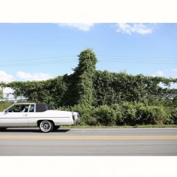 When I Go I Ghost  di Cory Branan - CD