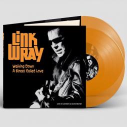 Walking Down A Street Called Love  di Link Wray - CD