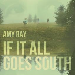 If_It_All_Goes_South-Amy_Ray