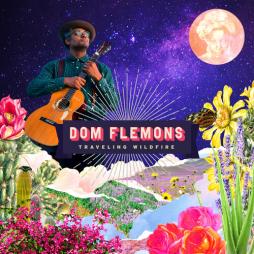 Traveling Wildfire  di Dom Flemons - CD
