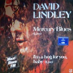 Mercury_Blues_(_Live_)_-David_Lindley