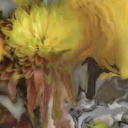 Wilderness Within You di Parker Millsap - CD Wilderness Within You di Parker Millsap - CD