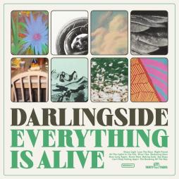 Everything Is Alive  di Darlingside - CD