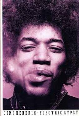 Jimi Hendrix Electric Gypsy  di Shapiro Harry - libri