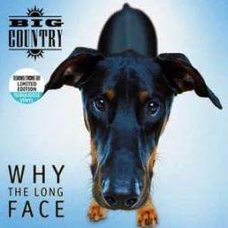 Why The Long Face  di Big Country - LP