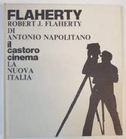 Flaherty  di Napolitano Antonio - Libro