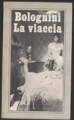 Viaccia  di Bolognini Mauro - Libro