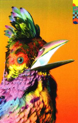 FLUME di PALACES - CD FLUME di PALACES - CD