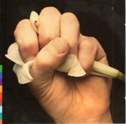 Lament di Various - cd