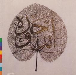 Ya_Habib-The_Sabri_Brothers Ya_Habib-The_Sabri_Brothers