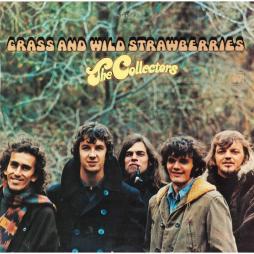 Grass And Wild Strawberries di The Collectors - CD Grass And Wild Strawberries di The Collectors - CD